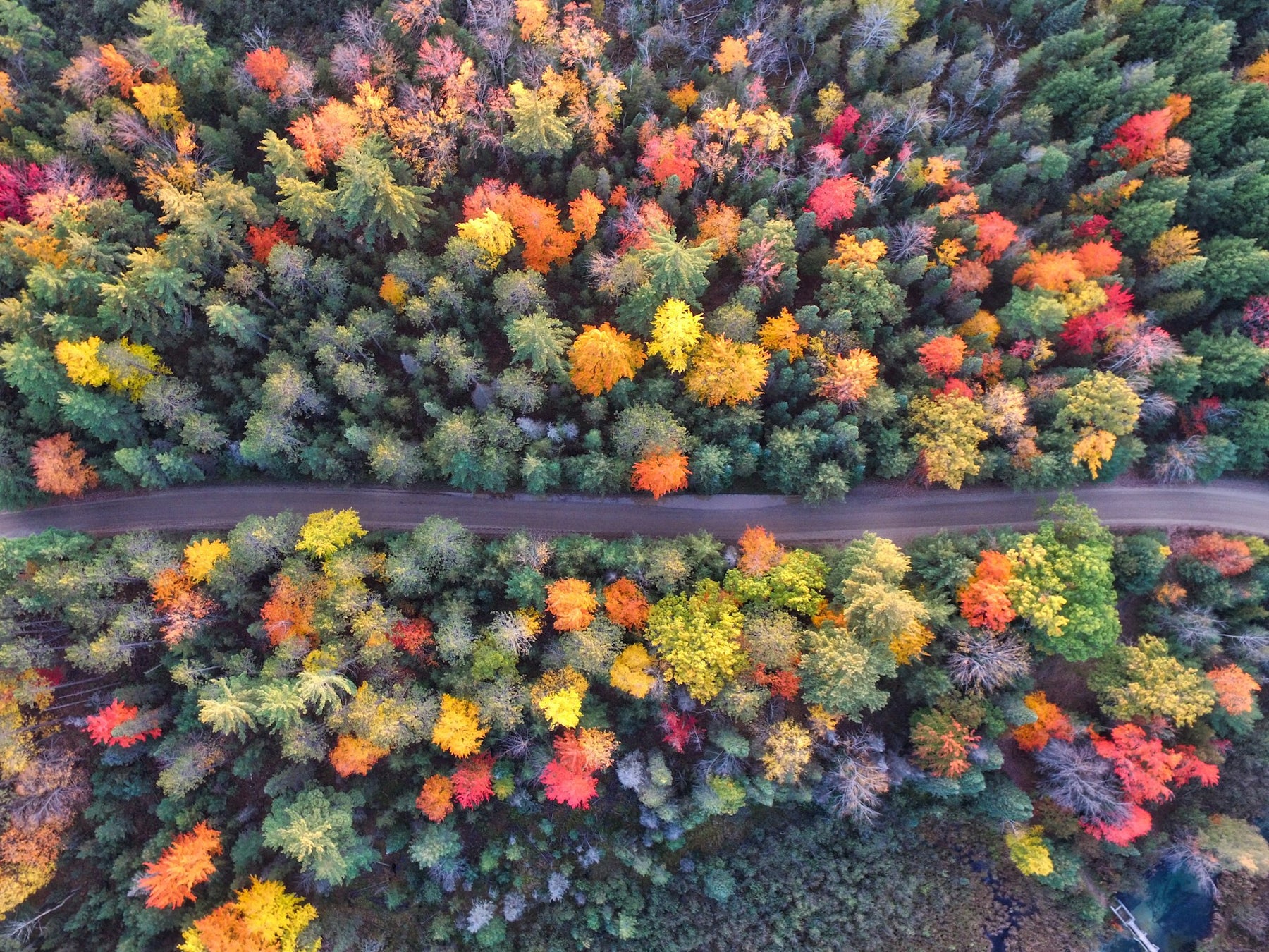 How Fluoropolymers Adapt to the Changing Demands of the Fall Season