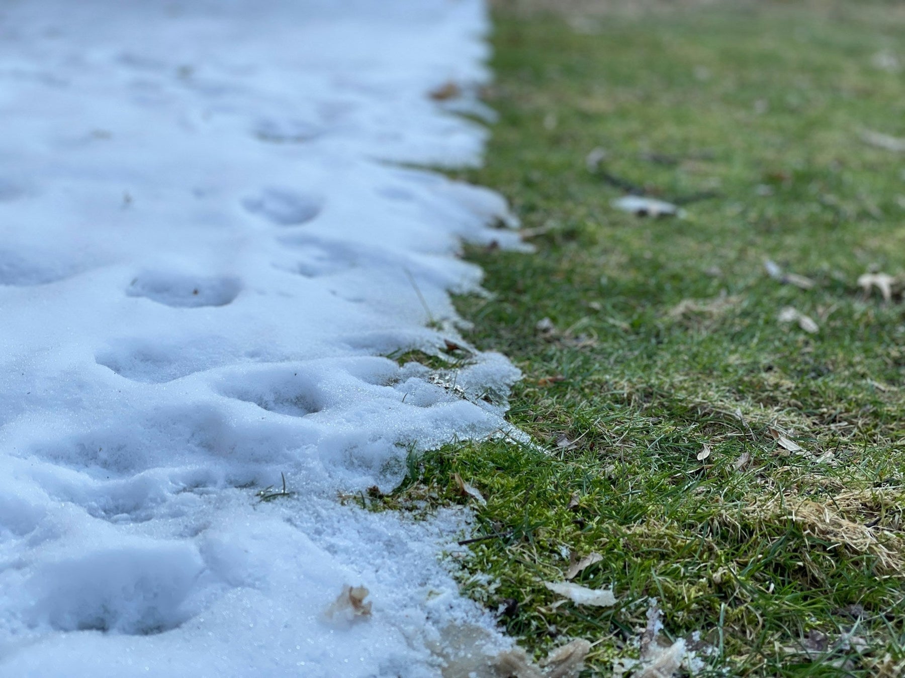 Spring Thaw and Groundwater Sampling: Why Your Tubing Matters More Than Ever